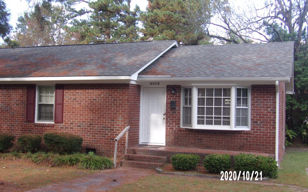 1403 East 2nd Street Greenville NC  AVAILABLE November 1ST